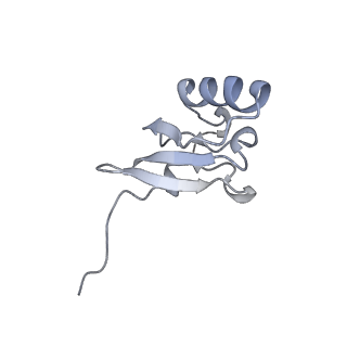 19054_8rcl_S2_v1-0
Escherichia coli paused disome complex (Non-rotated disome interface class 1)