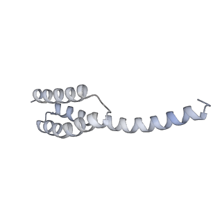 19054_8rcl_T1_v1-0
Escherichia coli paused disome complex (Non-rotated disome interface class 1)