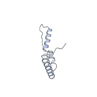 19054_8rcl_U1_v1-0
Escherichia coli paused disome complex (Non-rotated disome interface class 1)