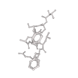 19054_8rcl_Z1_v1-0
Escherichia coli paused disome complex (Non-rotated disome interface class 1)