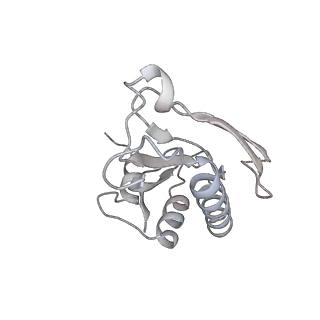 19054_8rcl_a2_v1-0
Escherichia coli paused disome complex (Non-rotated disome interface class 1)