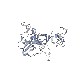 19054_8rcl_b2_v1-0
Escherichia coli paused disome complex (Non-rotated disome interface class 1)