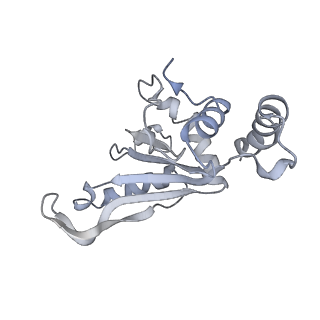 19054_8rcl_e2_v1-0
Escherichia coli paused disome complex (Non-rotated disome interface class 1)