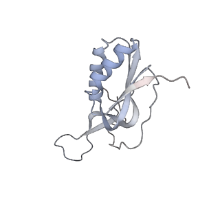 19054_8rcl_h2_v1-0
Escherichia coli paused disome complex (Non-rotated disome interface class 1)