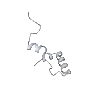 19054_8rcl_l2_v1-0
Escherichia coli paused disome complex (Non-rotated disome interface class 1)