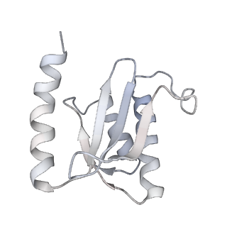 19054_8rcl_r2_v1-0
Escherichia coli paused disome complex (Non-rotated disome interface class 1)