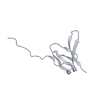 19054_8rcl_z2_v1-0
Escherichia coli paused disome complex (Non-rotated disome interface class 1)