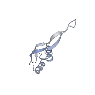 19055_8rcm_12_v1-0
Escherichia coli paused disome complex (Non-rotated disome interface class 2)