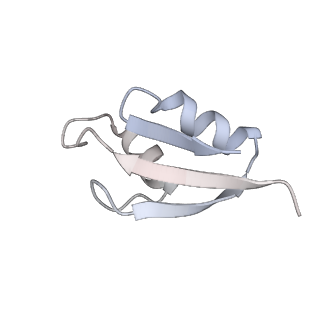 19055_8rcm_32_v1-0
Escherichia coli paused disome complex (Non-rotated disome interface class 2)