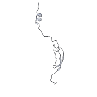 19055_8rcm_4_v1-0
Escherichia coli paused disome complex (Non-rotated disome interface class 2)