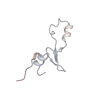 19055_8rcm_62_v1-0
Escherichia coli paused disome complex (Non-rotated disome interface class 2)