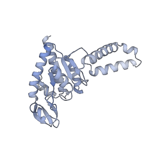 19055_8rcm_B2_v1-0
Escherichia coli paused disome complex (Non-rotated disome interface class 2)