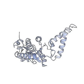 19055_8rcm_B_v1-0
Escherichia coli paused disome complex (Non-rotated disome interface class 2)