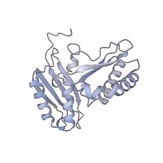 19055_8rcm_C1_v1-0
Escherichia coli paused disome complex (Non-rotated disome interface class 2)