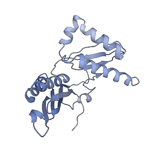 19055_8rcm_C2_v1-0
Escherichia coli paused disome complex (Non-rotated disome interface class 2)