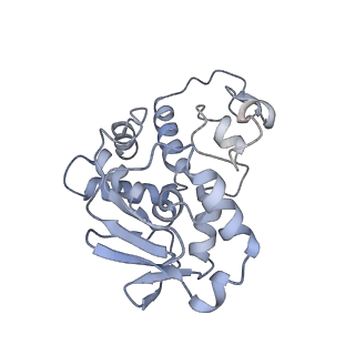 19055_8rcm_D1_v1-0
Escherichia coli paused disome complex (Non-rotated disome interface class 2)