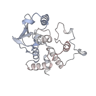 19055_8rcm_D2_v1-0
Escherichia coli paused disome complex (Non-rotated disome interface class 2)