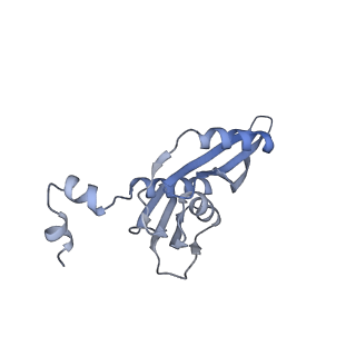 19055_8rcm_E1_v1-0
Escherichia coli paused disome complex (Non-rotated disome interface class 2)