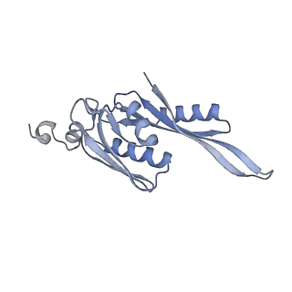 19055_8rcm_E2_v1-0
Escherichia coli paused disome complex (Non-rotated disome interface class 2)