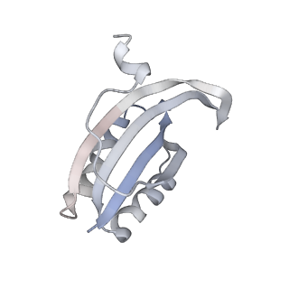 19055_8rcm_F1_v1-0
Escherichia coli paused disome complex (Non-rotated disome interface class 2)