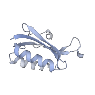 19055_8rcm_F2_v1-0
Escherichia coli paused disome complex (Non-rotated disome interface class 2)
