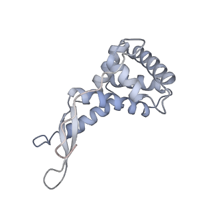 19055_8rcm_G1_v1-0
Escherichia coli paused disome complex (Non-rotated disome interface class 2)