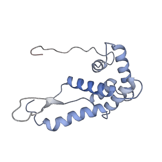 19055_8rcm_G2_v1-0
Escherichia coli paused disome complex (Non-rotated disome interface class 2)