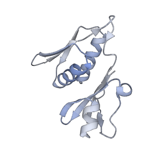 19055_8rcm_H1_v1-0
Escherichia coli paused disome complex (Non-rotated disome interface class 2)