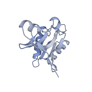 19055_8rcm_H2_v1-0
Escherichia coli paused disome complex (Non-rotated disome interface class 2)