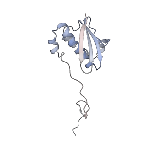 19055_8rcm_I1_v1-0
Escherichia coli paused disome complex (Non-rotated disome interface class 2)