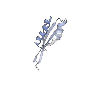 19055_8rcm_J1_v1-0
Escherichia coli paused disome complex (Non-rotated disome interface class 2)