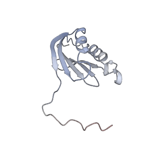 19055_8rcm_K1_v1-0
Escherichia coli paused disome complex (Non-rotated disome interface class 2)