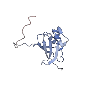 19055_8rcm_K2_v1-0
Escherichia coli paused disome complex (Non-rotated disome interface class 2)