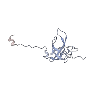 19055_8rcm_L1_v1-0
Escherichia coli paused disome complex (Non-rotated disome interface class 2)