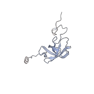 19055_8rcm_L2_v1-0
Escherichia coli paused disome complex (Non-rotated disome interface class 2)