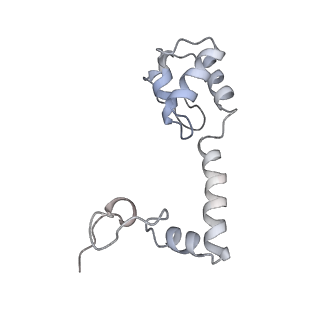 19055_8rcm_M1_v1-0
Escherichia coli paused disome complex (Non-rotated disome interface class 2)