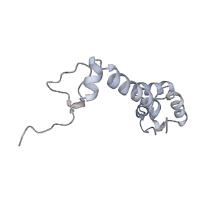 19055_8rcm_M2_v1-0
Escherichia coli paused disome complex (Non-rotated disome interface class 2)