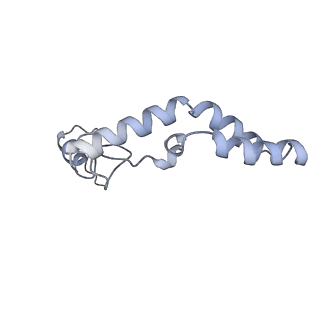 19055_8rcm_N2_v1-0
Escherichia coli paused disome complex (Non-rotated disome interface class 2)