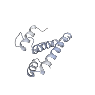 19055_8rcm_O1_v1-0
Escherichia coli paused disome complex (Non-rotated disome interface class 2)