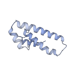 19055_8rcm_O2_v1-0
Escherichia coli paused disome complex (Non-rotated disome interface class 2)