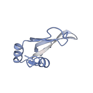 19055_8rcm_P1_v1-0
Escherichia coli paused disome complex (Non-rotated disome interface class 2)