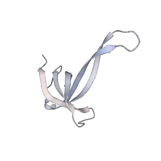 19055_8rcm_Q1_v1-0
Escherichia coli paused disome complex (Non-rotated disome interface class 2)