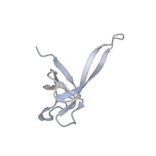 19055_8rcm_Q2_v1-0
Escherichia coli paused disome complex (Non-rotated disome interface class 2)