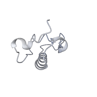 19055_8rcm_R1_v1-0
Escherichia coli paused disome complex (Non-rotated disome interface class 2)