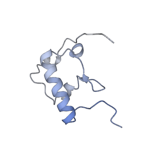 19055_8rcm_R2_v1-0
Escherichia coli paused disome complex (Non-rotated disome interface class 2)