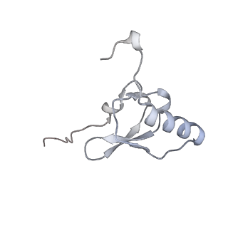 19055_8rcm_S1_v1-0
Escherichia coli paused disome complex (Non-rotated disome interface class 2)