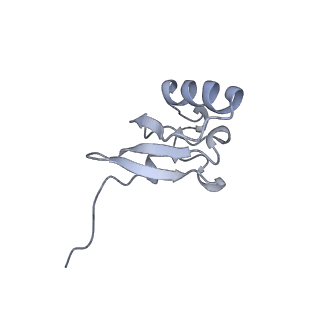 19055_8rcm_S2_v1-0
Escherichia coli paused disome complex (Non-rotated disome interface class 2)