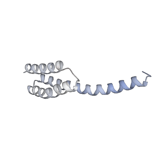 19055_8rcm_T1_v1-0
Escherichia coli paused disome complex (Non-rotated disome interface class 2)