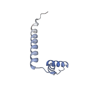 19055_8rcm_U2_v1-0
Escherichia coli paused disome complex (Non-rotated disome interface class 2)