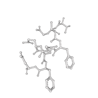 19055_8rcm_Z1_v1-0
Escherichia coli paused disome complex (Non-rotated disome interface class 2)